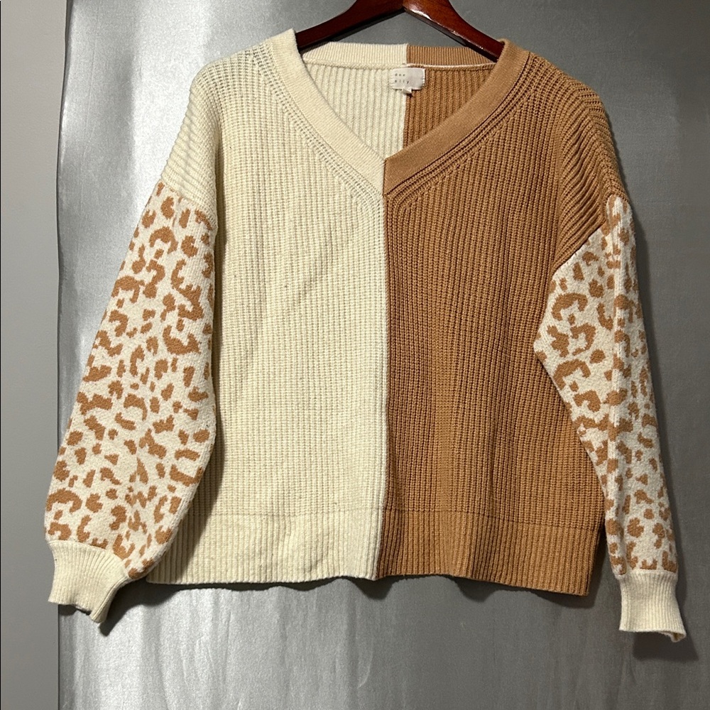 Colorblock Sweater with Leopard Sleeves